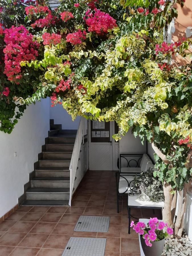 Hostal Costa Ibiza Town Exterior photo